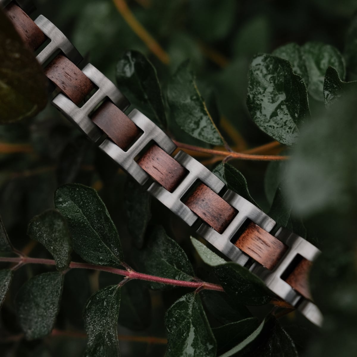 "Acoustic" wristband featuring a walnut and grey finish, elegantly displayed among lush green leaves.