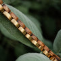 "Duet", un elegante bracciale Zebrawood e oro, intreccia elegantemente attraverso il fogliame verde.