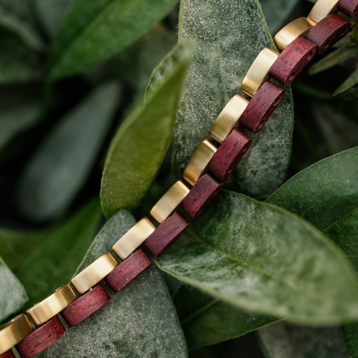 "Duet", a stylish bracelet in amaranth and gold, highlights a sophisticated geometric design against a leafy backdrop.