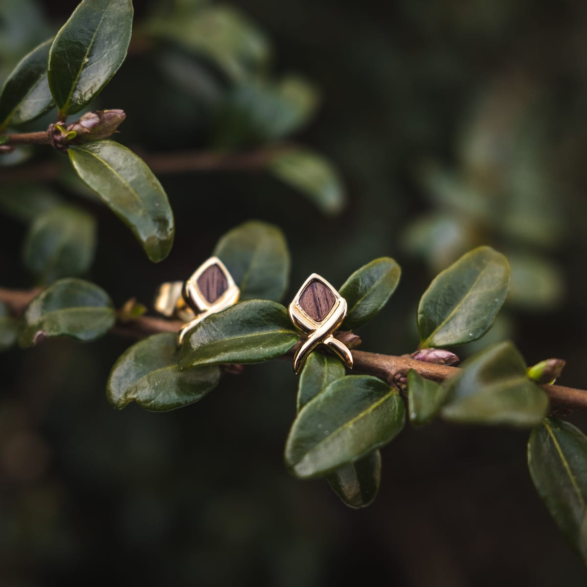 "Mosaic Earrings": Elegant earrings featuring a walnut and gold mosaic design on lush foliage.