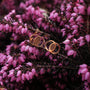 Orecchini effigi con noce e oro rosa con uno stile naturale ed elegante contro fiori rosa vivaci.