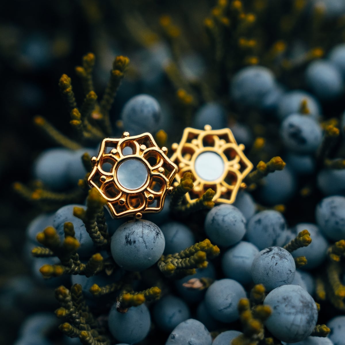 "Anelli di composizione": Eleganti orecchini in oro con nacre blu dal design intricato.