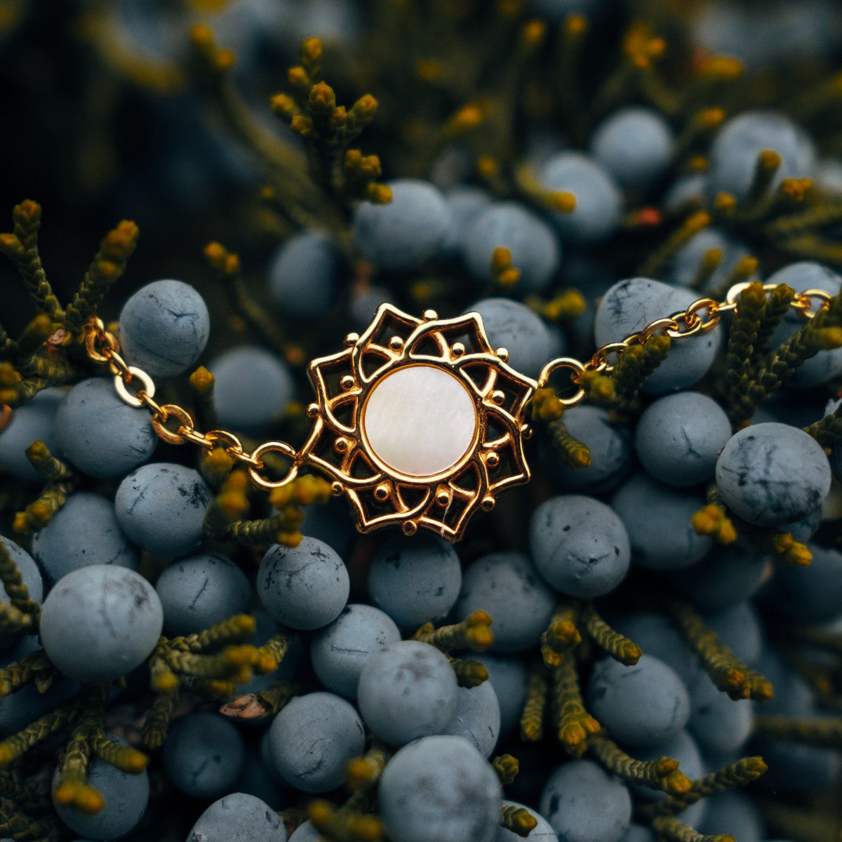 Bracciale "Composition" con accenti bianchi e oro, elegantemente in stile tra gli elementi naturali.