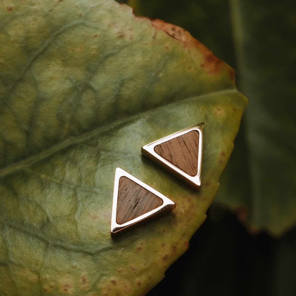 "Cagli Scale" – Orecchini triangolari con accenti in legno di noce e oro rosa su fondo foglia.