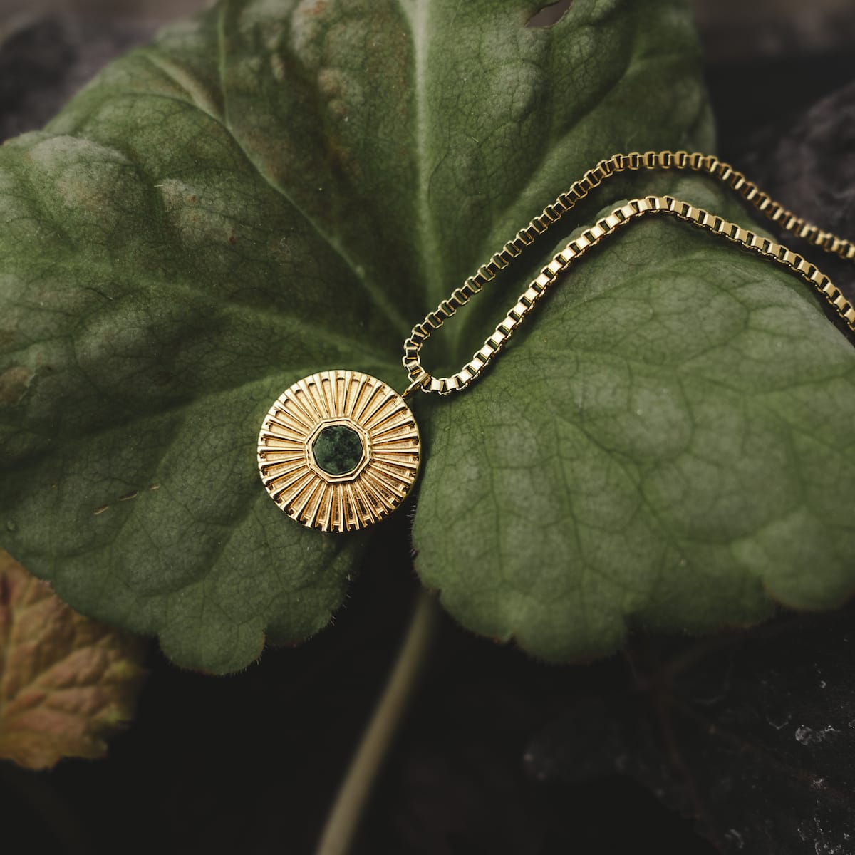 "Stencil Necklace": A stylish marble and gold necklace with a radiant design on a leafy background.