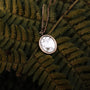 "Mirror Necklace" necklace with a rose gold finish and turquoise detail set against lush fern leaves.