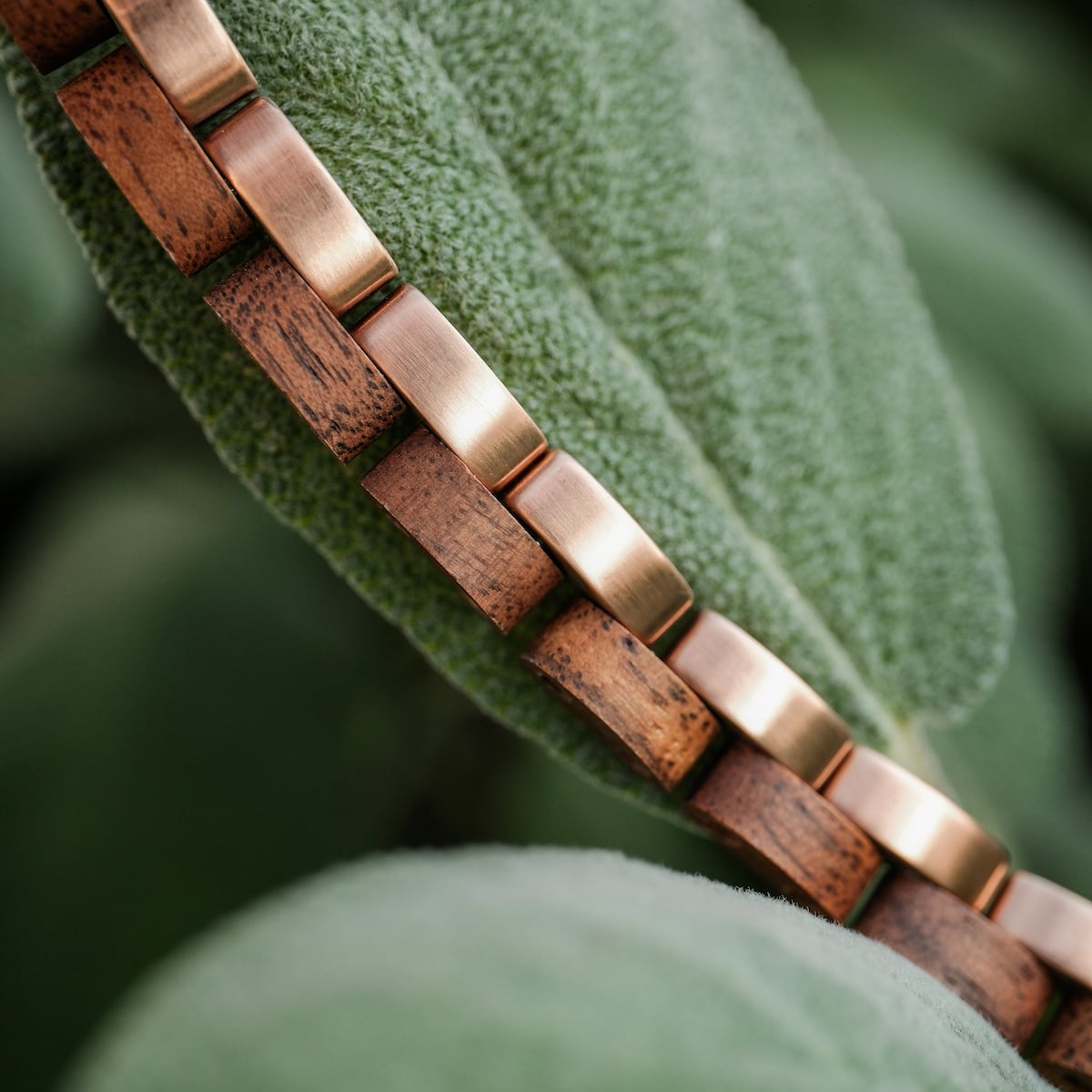 "Duet", bracciale, presenta un design elegante in noce e oro rosa su uno sfondo naturale.