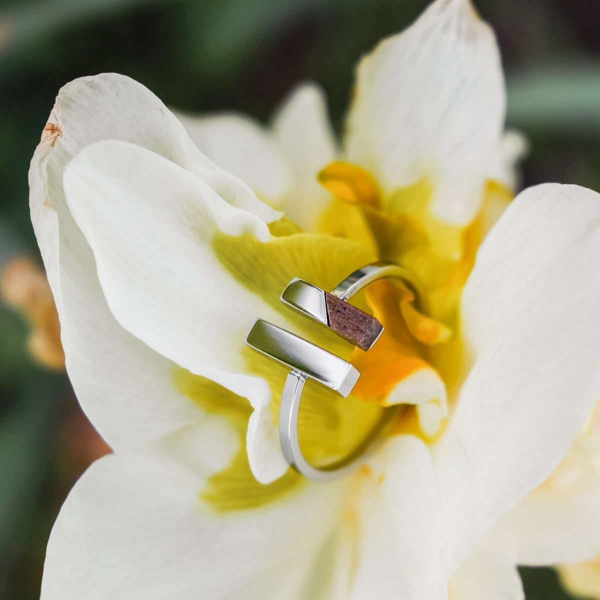 "Campania Ring", a walnut and silver ring, elegantly displayed on a flower.