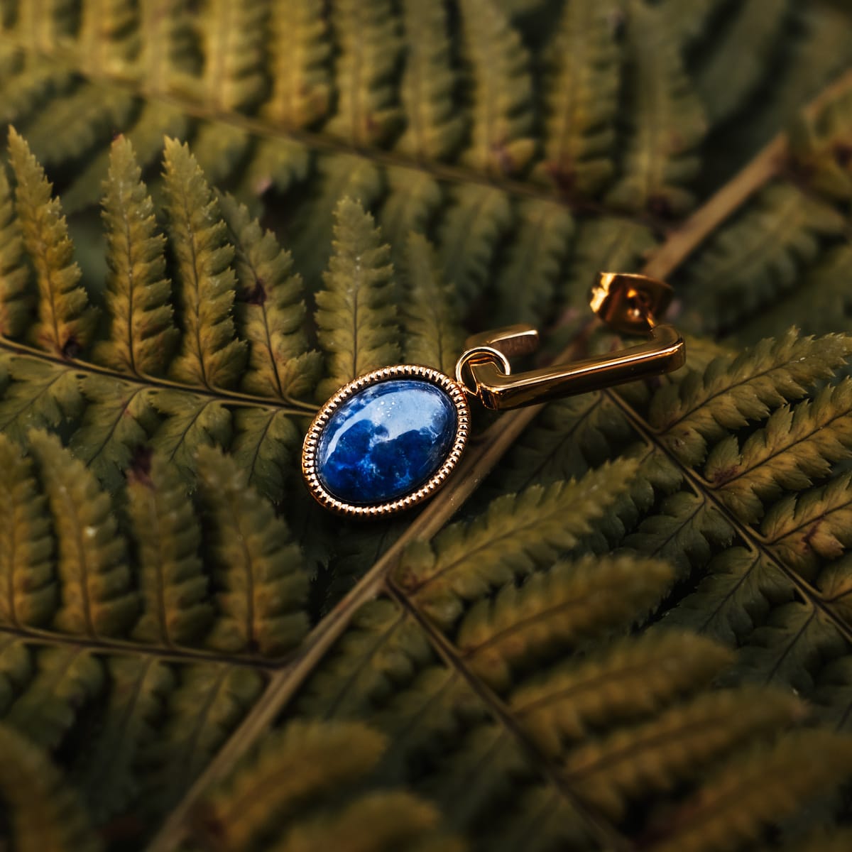 Orecchini a specchio: eleganti orecchini con oro e lapis lazuli, in stile contro foglie di verde lontano.