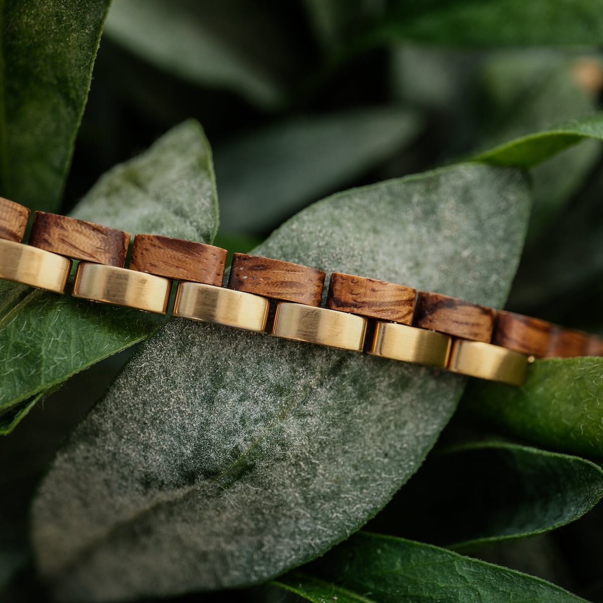 "Duet", un elegante bracciale con zebrawood e elementi in oro, mostrato in uno sfondo naturale.
