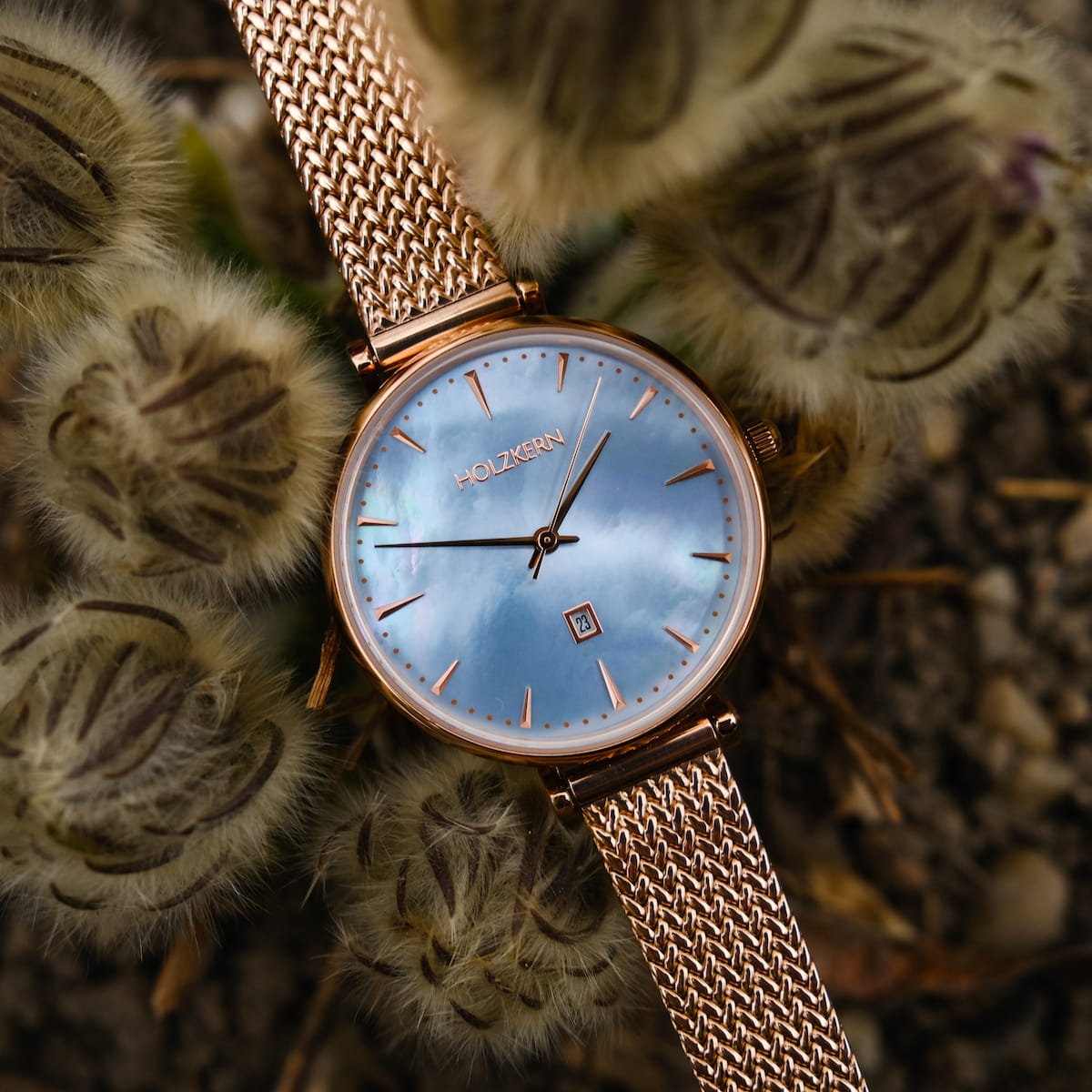 "Chitchat", un orologio da polso con accenti in oro rosa e viso, presentato in un ambiente naturale.