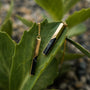 "Campania Earrings: elegant earrings featuring marble and gold accents on a natural backdrop."