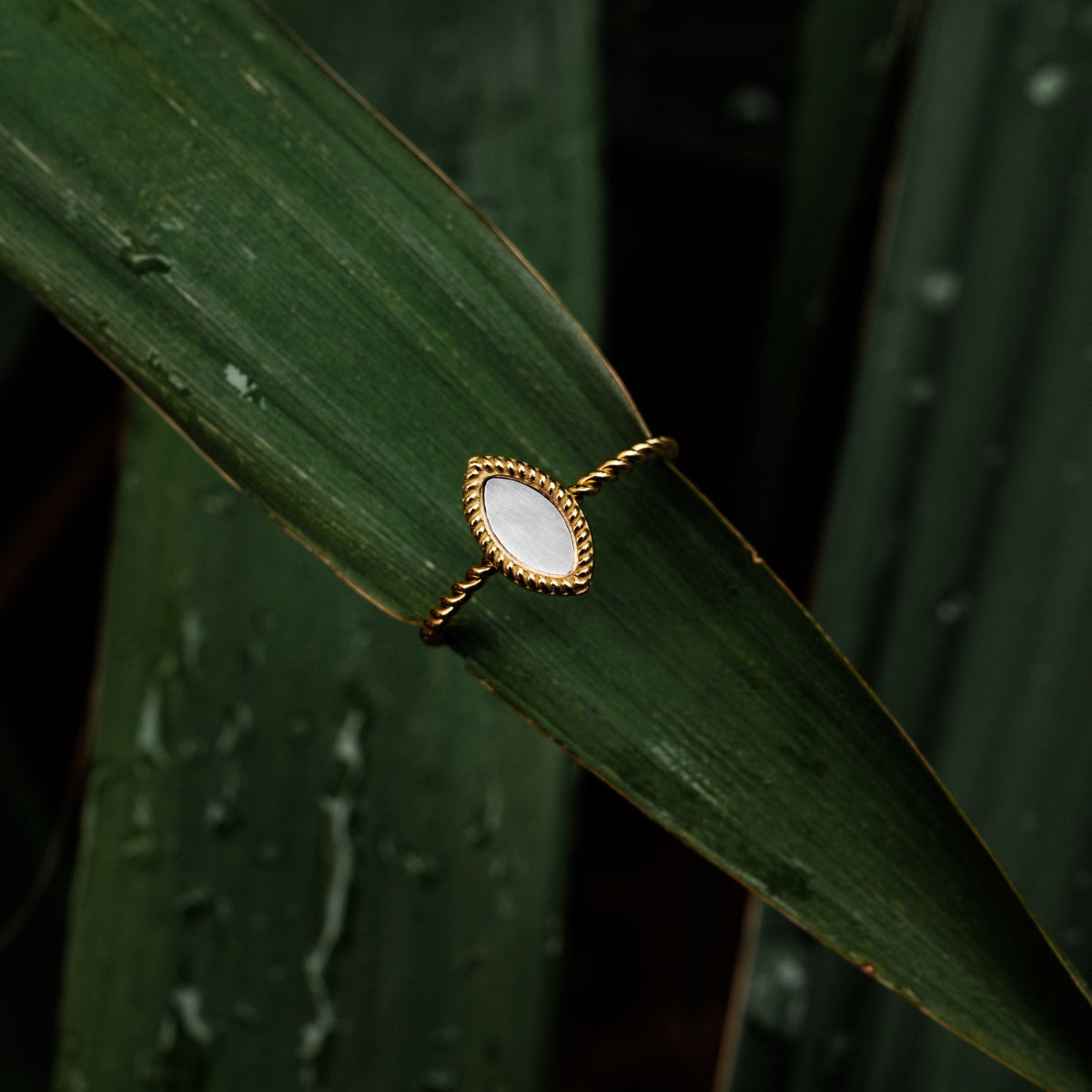 Anello "Visual Ring" con un design in marquise in bianco e oro, elegantemente posizionato su uno sfondo verde foglia.