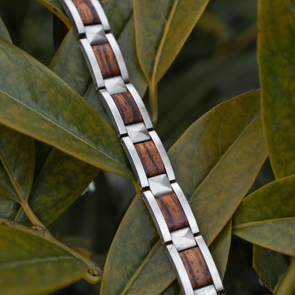 "Rhapsody" bracelet featuring zebrawood and silver accents in a stylish, natural design on green leaves.