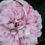 Collana "Collana di estate" con perla barocca su una catena d'argento, in stile contro petali rosa tenui per un look elegante.