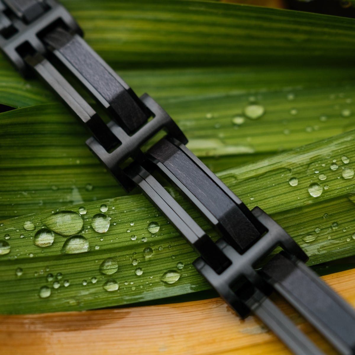 Bracciale "Staccato" presenta un elegante acero e un design nero su uno sfondo naturale foglia.