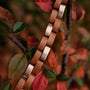 "Rondo", a watch with a cherry and rose gold theme, highlighted against autumn leaves.