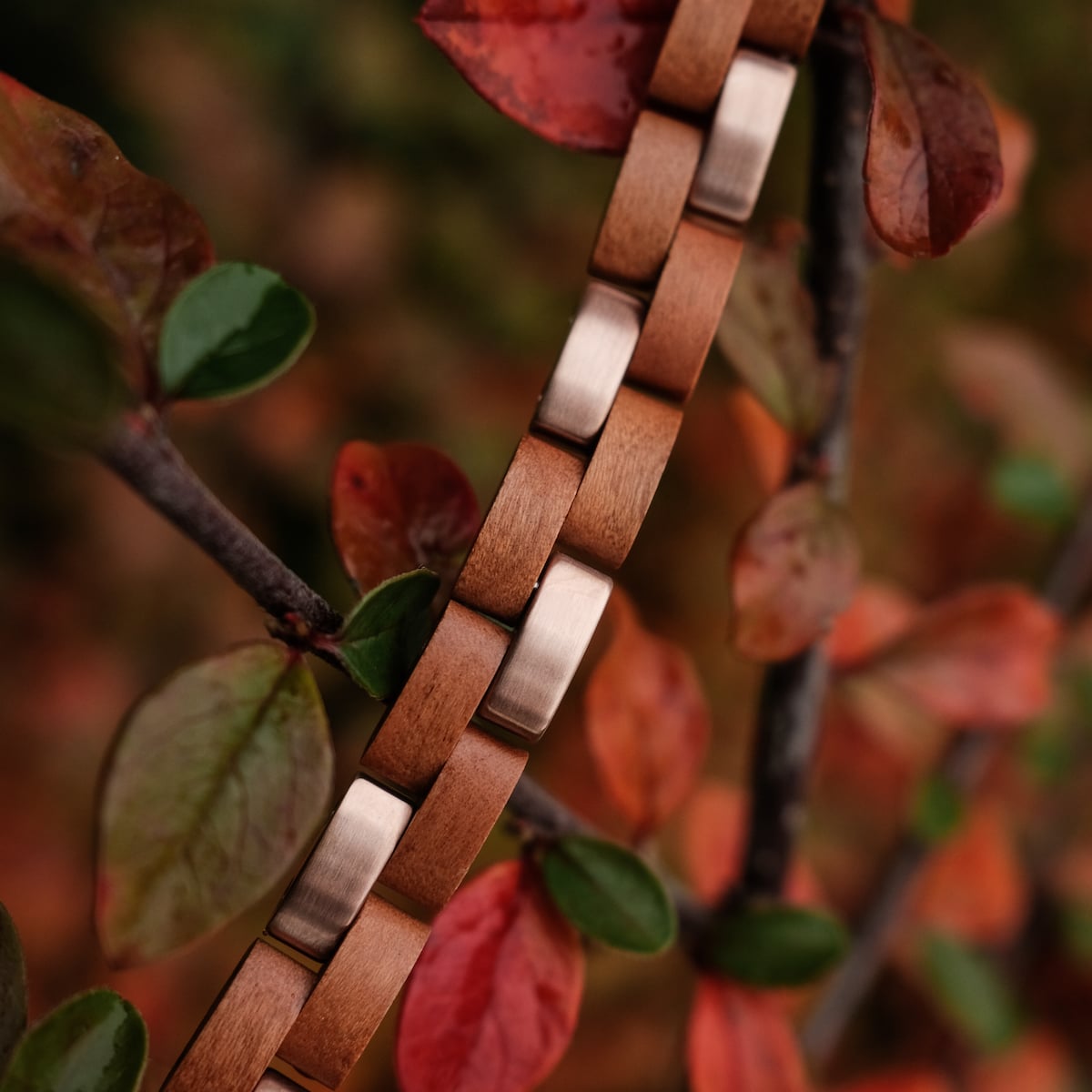"Rondo", a watch with a cherry and rose gold theme, highlighted against autumn leaves.