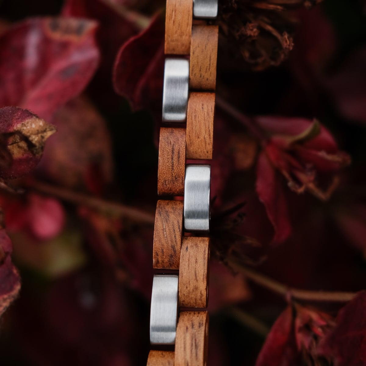 Cinturino da orologio "Rondo" con un elegante design in legno koa e argento tra le foglie di autunno.