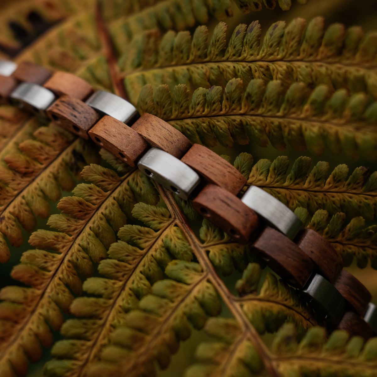 La cinghia "Rondo" presenta un design in legno e argento, incastonato su foglie di colore verde dettagliate.