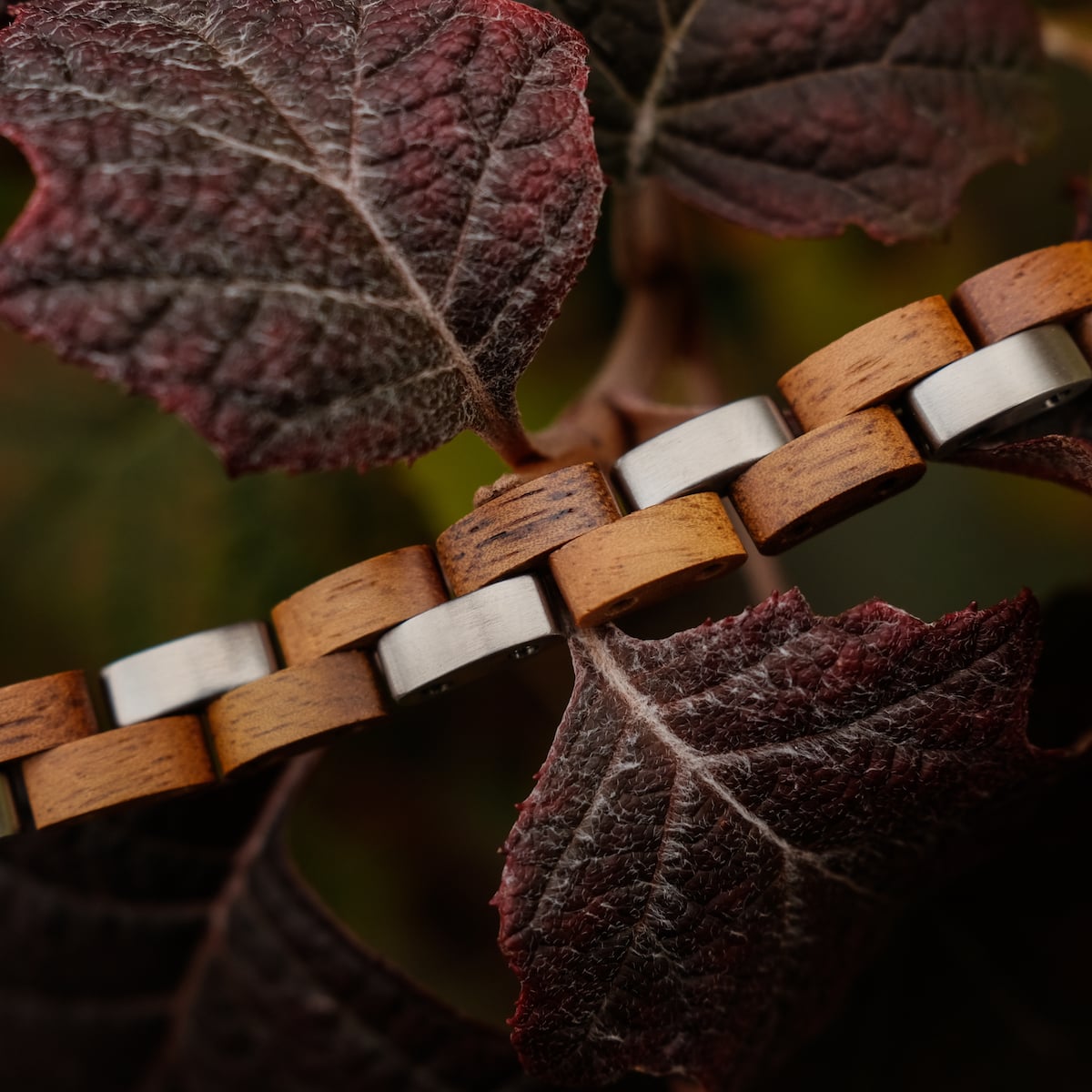 "Rondo", un braccialetto elegante che fonde legno di koa e argento, insieme contro il fogliame ricco per un look naturale ed elegante.